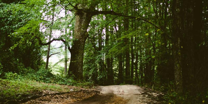 云计算资源管理最佳实践:5大策略实现成本优化与性能提升双赢