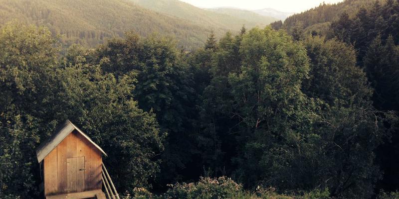 多云网络成本治理实战指南：三大核心工具、策略与标签体系构建