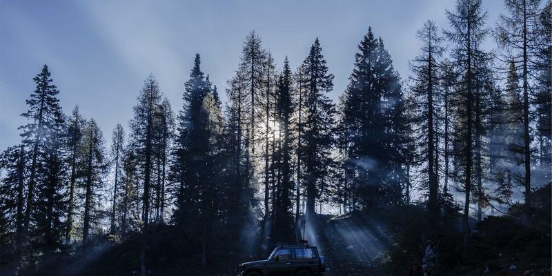 零信任安全模型实战指南:分步构建“永不信任,始终验证”的企业网络